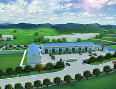 <b>生物机器人可能具有人体细胞</b>